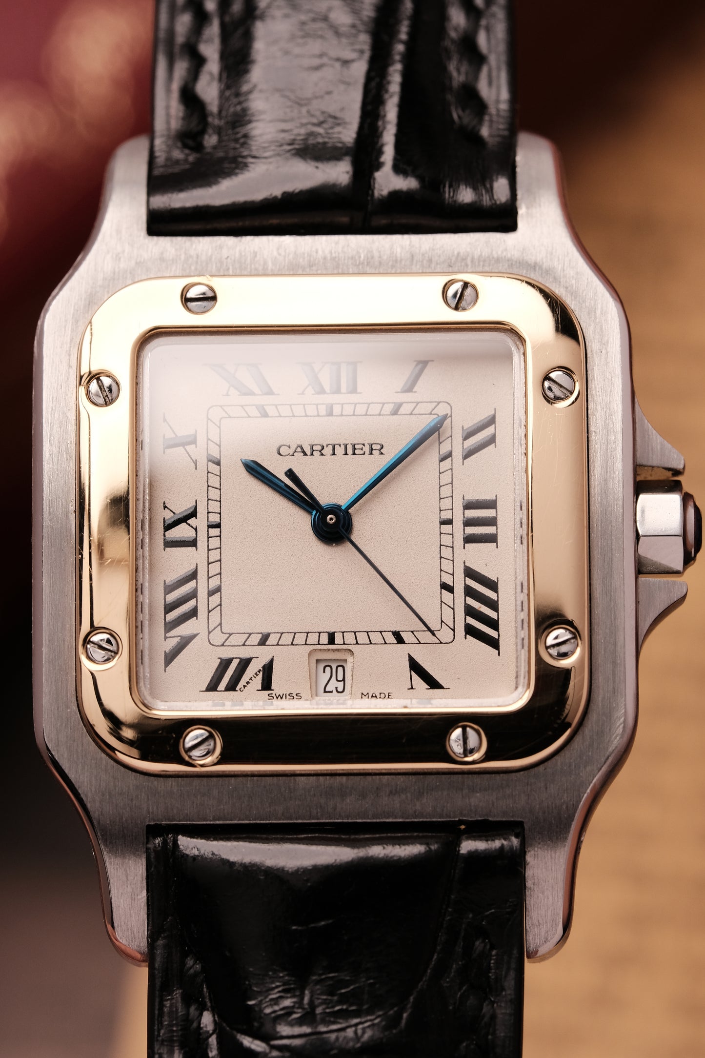 Cartier Santos Galbée Ref. 187901 29x41mm Soft Curved Case