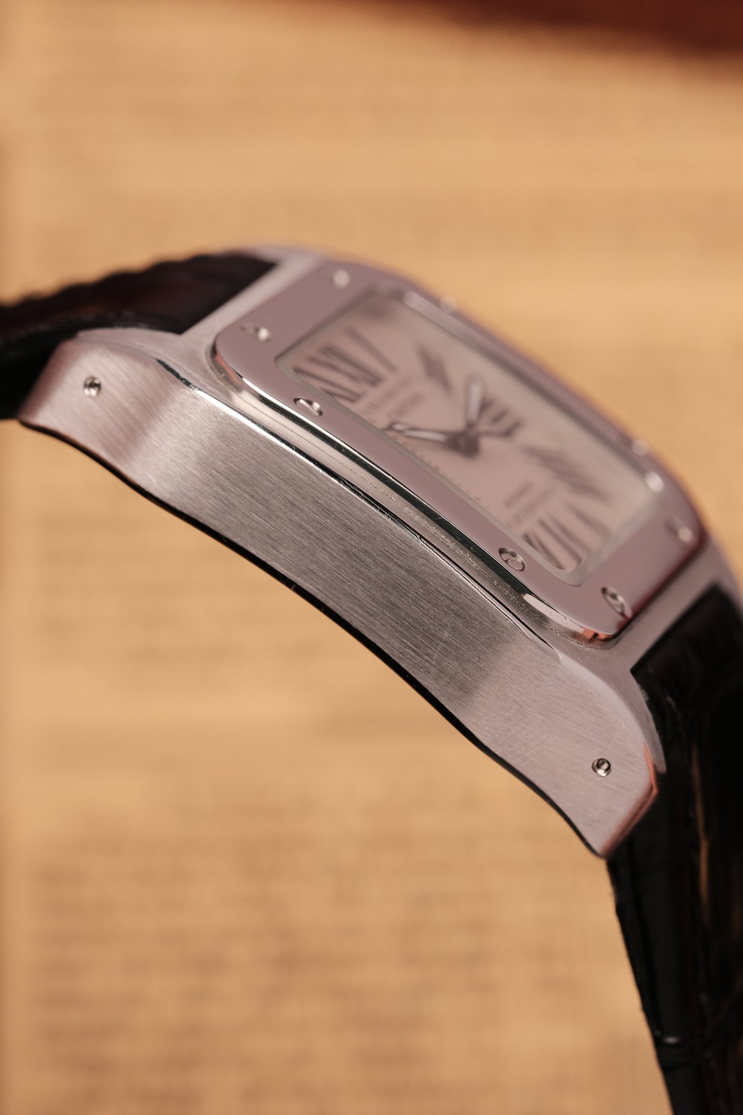 (Full set) Cartier Santos 100 W20126X8 2878 MM White 33mm Automatic Watch